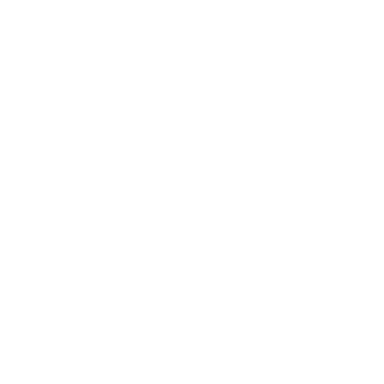 Timer widget
